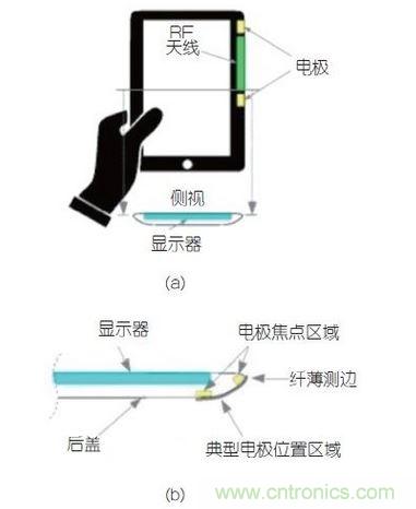 (a)側剖視圖描述；(b)電極焦點區域描述