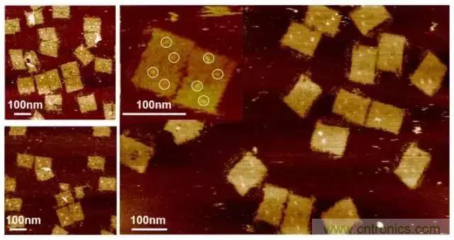 中美科學家聯手，用DNA納米機器人殺死癌細胞