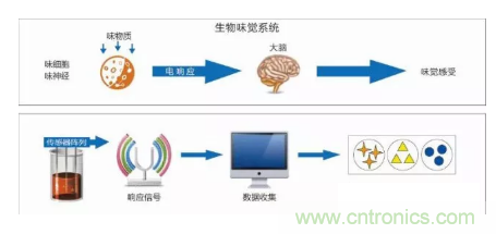 仿生傳感器的定義、原理、分類及應用
