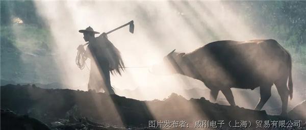 智慧農業大有可為，“數字種地”更輕松