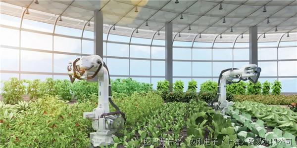 智慧農業大有可為，“數字種地”更輕松