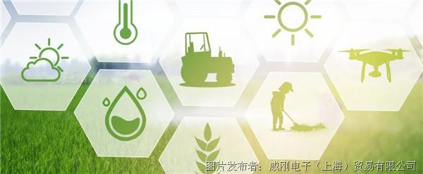 智慧農業大有可為，“數字種地”更輕松
